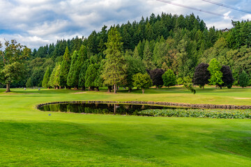 Obraz premium Landscape of meadow with lake at park. Summer park zone nature. Scenic landscape of woodland. Public park. Nature of forest. Green forest wood landscape in summer. Nature of mixed forest