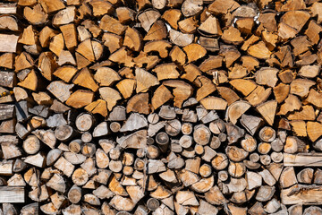 cross section of firewood