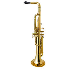 Title: Shiny Golden Saxophone Isolated on White Background
