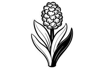 Hyacinth Flower Line Art Silhouette Simple and Stylish Design