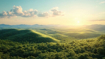 A large green forest with a sun shining on it