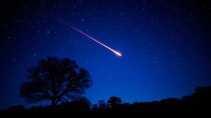Night sky with a shooting star streaking across a starry expanse, silhouetted trees below