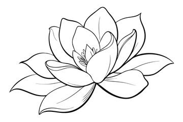 Discover the Beauty of Magnolia in Line Silhouette Art