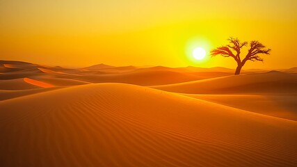 Obraz premium Golden Hour Desert Landscape Solitary Tree Silhouetted Against Vibrant Sunset