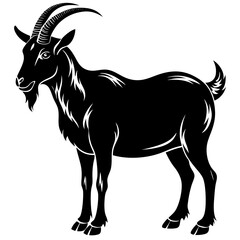 black goat image vector illustration