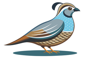 Fototapeta premium California Quail Bird Artwork Illustration – Stunning Wildlife Art for Your Collection