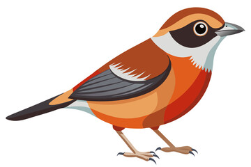 Obraz premium Chestnut-Breasted Mannikin Illustration - Stunning Artwork for Nature Lovers