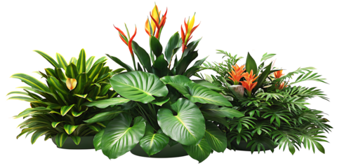 vibrant tropical plant arrangement for indoor space isolated on white background PNG.AI GENERATED