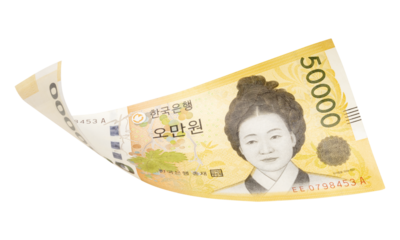 50000 South Korean won banknotes falling  isolated on white background, with clipping path