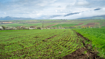 Lush green Georgian countryside with rolling hills, plowed fields, and a backdrop of misty mountains.