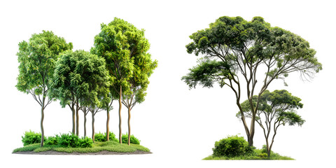 jungle trees lined and shrubs on greenery meadows. Generative AI.