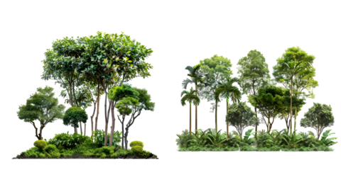 jungle trees lined and shrubs on greenery meadows. Generative AI.