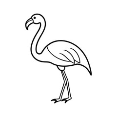 illustration of a flamingo