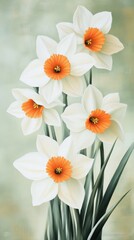 Fototapeta premium White daffodils with orange centers on a