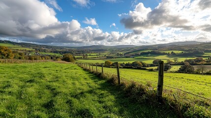 Fototapeta premium Expansive sky filled with fluffy white clouds over an open countryside field