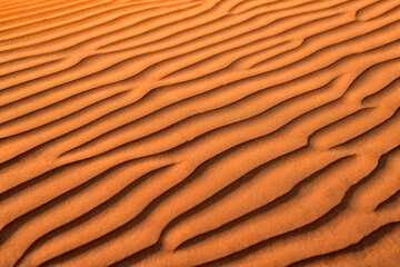 Desert background pattern graphics. Summer Safari excursions and travel. Sandy desert Wahiba in...