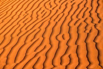 Sand dune texture. Desert Background. Oman, Wahiba Desert
