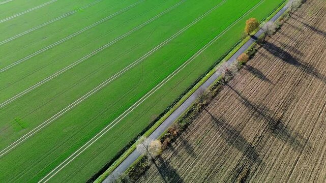 Farmlands from a bird's eye view
