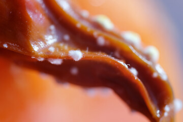 Macro shot of mycelium fungus growth on rotten chilli