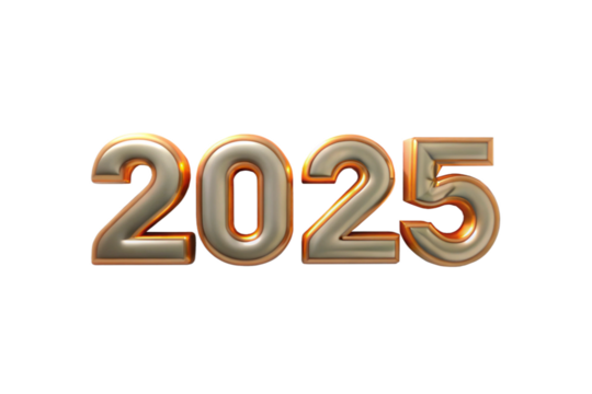 3d New Year 2025 text png