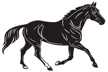 silhouette of clean vactor of hourse isolated