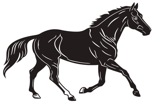 silhouette of clean vactor of hourse isolated