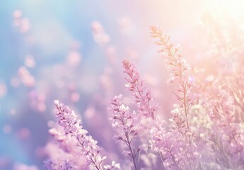Soft Pastel Blossoms in Ethereal Light, Creating a Dreamy and Serene Atmosphere with Delicate Flowers and Blurred Background in Gentle Warm Hues