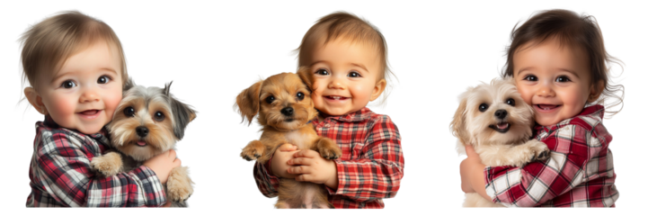 Set of baby in a plaid shirt holding a dog and smiling isolated on a transparent background