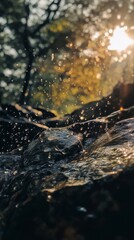 Naklejka premium Morning sunlight shimmering through forest with