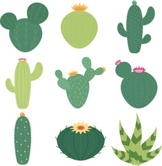Cactus