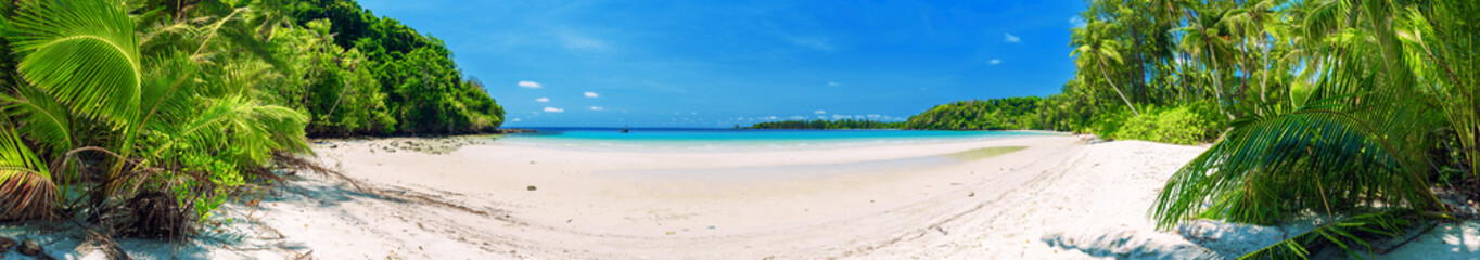 Nature panoramic landscape: Amazing Panorama sandy tropical beach with coconut palm tree and...