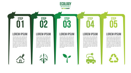 Ecology infographics green friendly environment with leaf and world map vector design layout.Recycle system element sustainable growth.Green concept with 5 options, parts, steps or points.