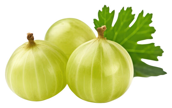 PNG Fruit plant food