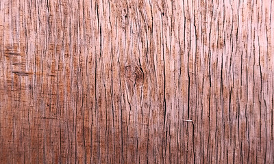 Fototapeta premium old wood texture