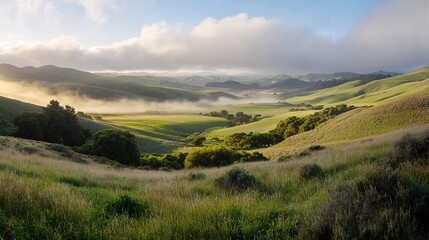 Obraz premium Serene Rolling Hills with Misty Fog in Lush Green Landscape