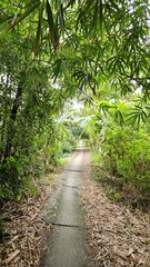 A narrow village street in countryside of Mang Thit district, Vinh Long province, Mekong Delta Vietnam in the morning.