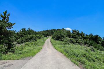 산 정상을 올라가는 숲 길 제주 서귀포시 안덕면 창천리 군산오름