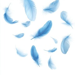 Gentle breeze blue feathers artistic composition minimalist setting aerial view serenity and elegance