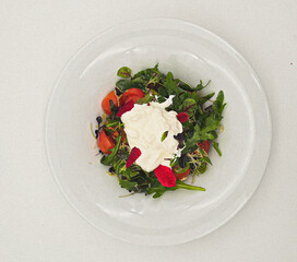 Gemischter salat mit Burrata