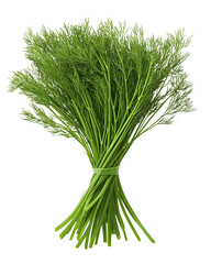 Fresh dill bunch isolated on transparent background