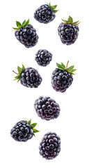Fresh blackberries in mid air isolated on transparent background