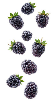 Fresh blackberries in mid air isolated on transparent background