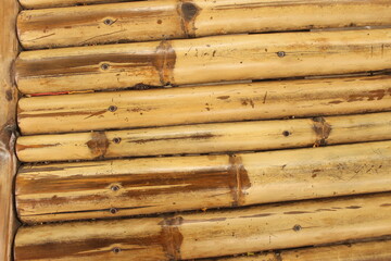 Naklejka premium bamboo