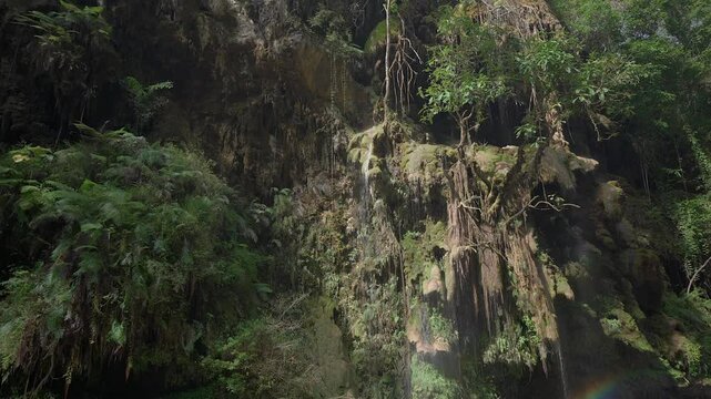 Tilt down reveal at Rainbow Falls