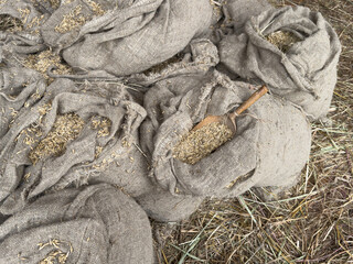 A pile of bags with a scoop of grain in the middle