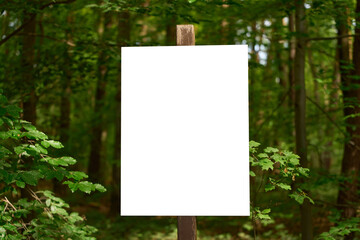 Blank white sign on wood pole in green forest with copyspace