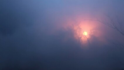 Fototapeta premium Misty Sunrise Through Silhouetted Branches