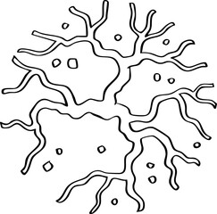 hand drawn top view of tree illustration.