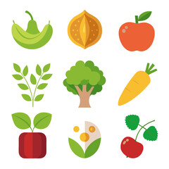 Natural food elements collections for business branding in white background