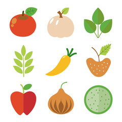 Natural food elements collections for business branding in white background